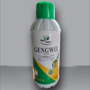 gengwei